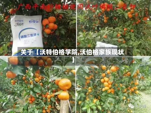 关于【沃特伯格学院,沃伯格家族现状】-第2张图片