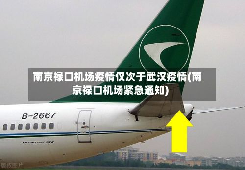 南京禄口机场疫情仅次于武汉疫情(南京禄口机场紧急通知)-第3张图片