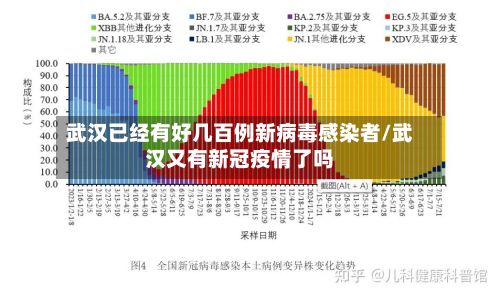 武汉已经有好几百例新病毒感染者/武汉又有新冠疫情了吗