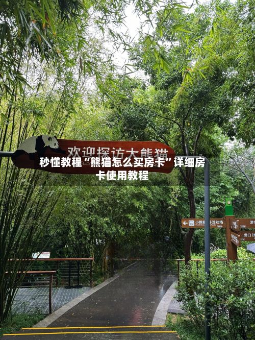 秒懂教程“熊猫怎么买房卡”详细房卡使用教程-第3张图片