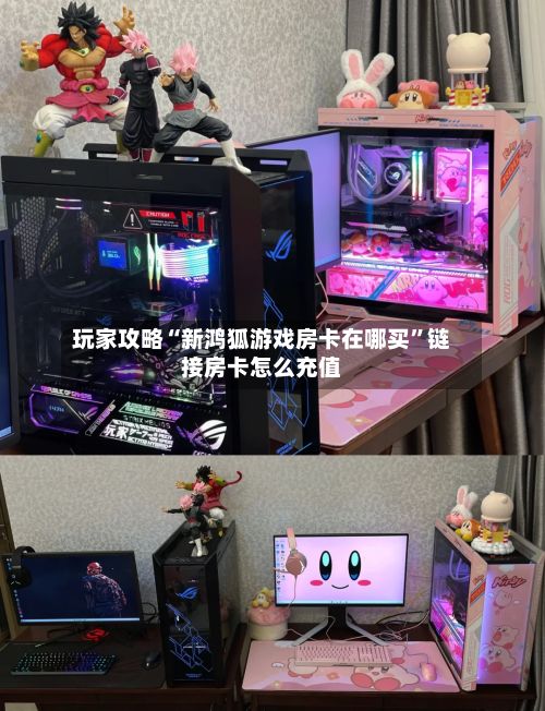 玩家攻略“新鸿狐游戏房卡在哪买”链接房卡怎么充值-第2张图片