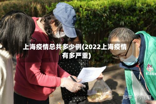 上海疫情总共多少例(2022上海疫情有多严重)