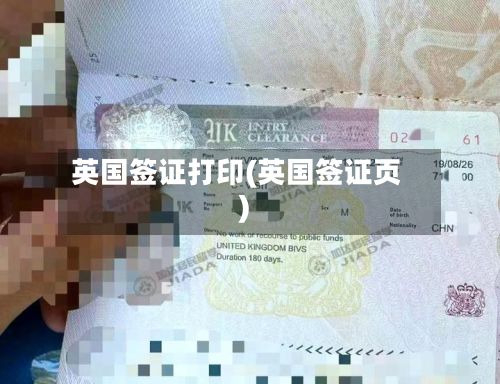 英国签证打印(英国签证页)