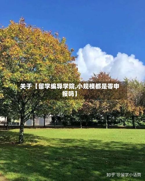 关于【留学编导学院,小规模都是零申报吗】