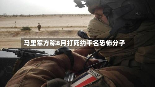 马里军方称8月打死约千名恐怖分子
