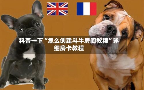 科普一下“怎么创建斗牛房间教程”详细房卡教程