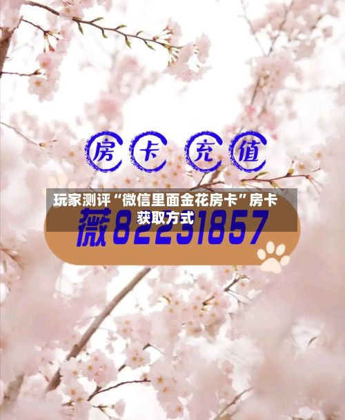 玩家测评“微信里面金花房卡”房卡获取方式-第2张图片