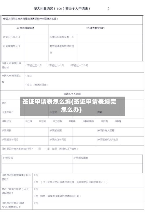 签证申请表怎么填(签证申请表填完怎么办)