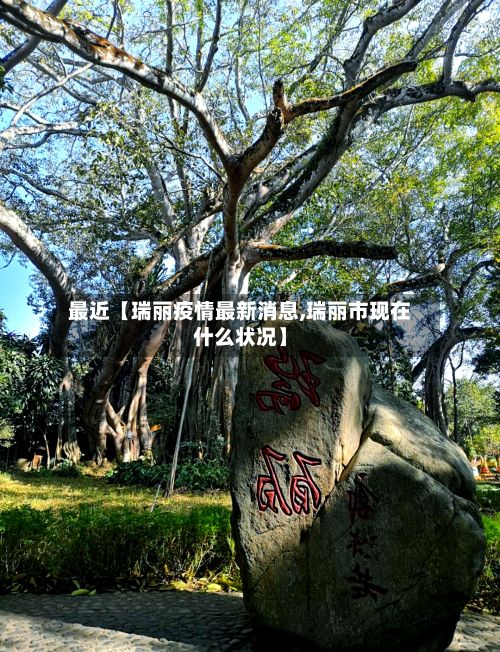 最近【瑞丽疫情最新消息,瑞丽市现在什么状况】-第3张图片