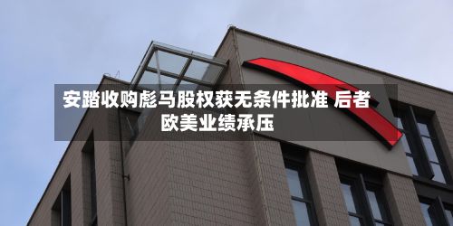 安踏收购彪马股权获无条件批准 后者欧美业绩承压-第2张图片