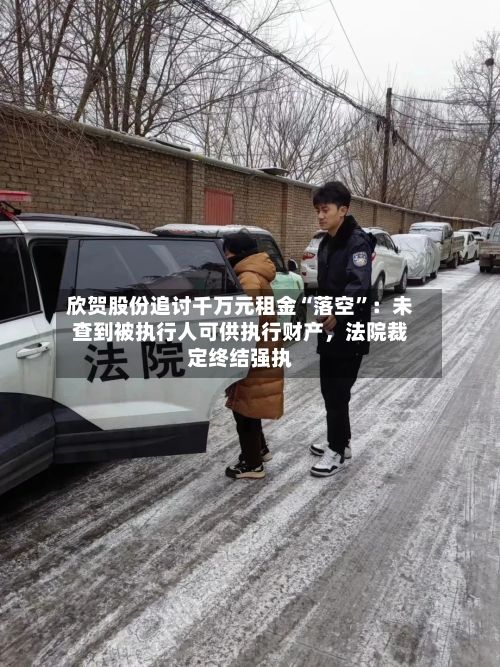 欣贺股份追讨千万元租金“落空”：未查到被执行人可供执行财产，法院裁定终结强执-第2张图片