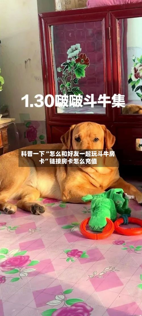科普一下“怎么和好友一起玩斗牛房卡”链接房卡怎么充值