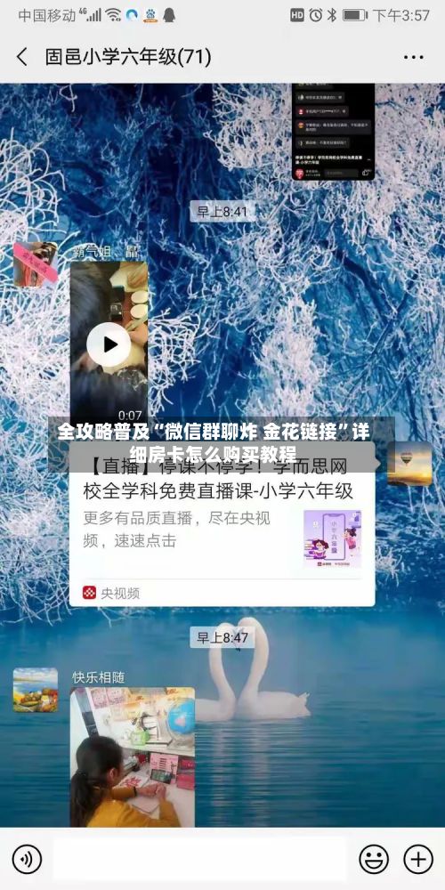 全攻略普及“微信群聊炸 金花链接”详细房卡怎么购买教程-第3张图片