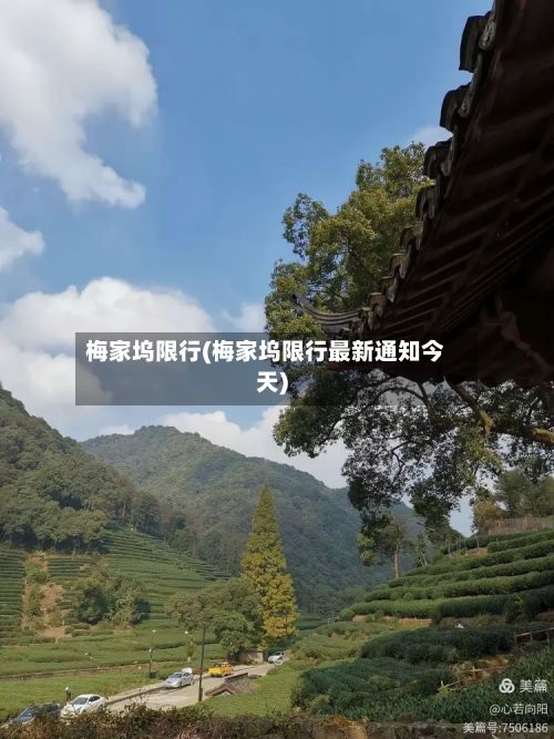 梅家坞限行(梅家坞限行最新通知今天)