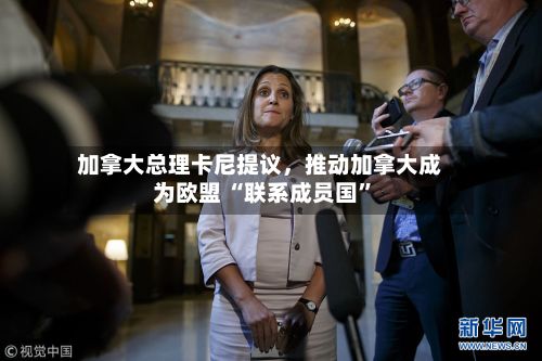 加拿大总理卡尼提议,推动加拿大成为欧盟 “联系成员国”