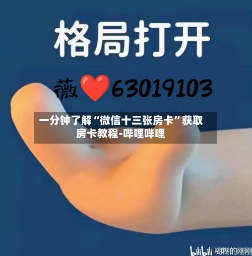 一分钟了解“微信十三张房卡”获取房卡教程-哔哩哔哩-第2张图片