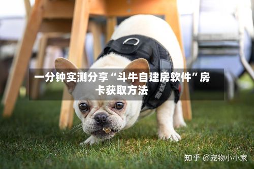 一分钟实测分享“斗牛自建房软件”房卡获取方法-第2张图片