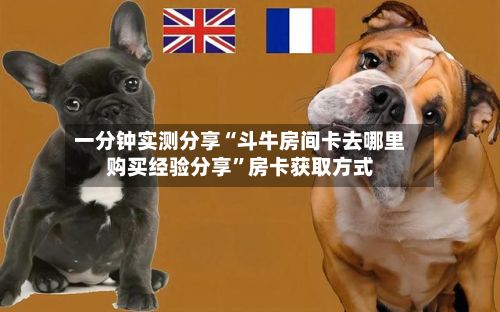 一分钟实测分享“斗牛房间卡去哪里购买经验分享”房卡获取方式