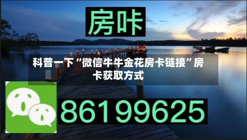 科普一下“微信牛牛金花房卡链接”房卡获取方式-第3张图片