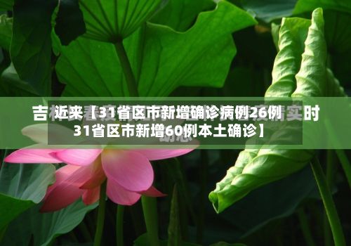 近来【31省区市新增确诊病例26例31省区市新增60例本土确诊】