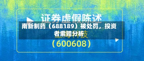 南新制药（688189）被处罚，投资者索赔分析-第2张图片