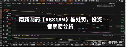 南新制药（688189）被处罚，投资者索赔分析-第3张图片