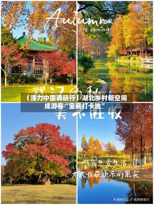 （活力中国调研行）湖北乡村新空间成游客“宝藏打卡地”-第2张图片