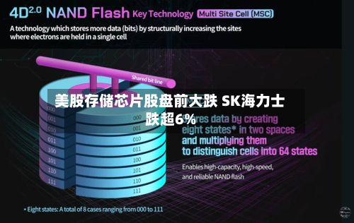 美股存储芯片股盘前大跌 SK海力士跌超6%-第2张图片