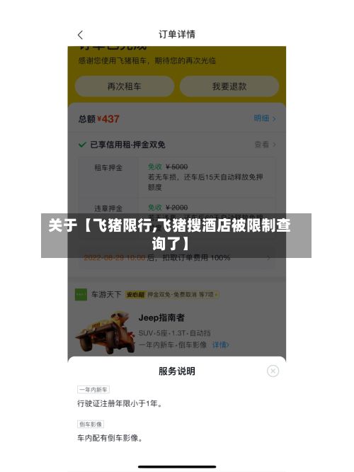 关于【飞猪限行,飞猪搜酒店被限制查询了】