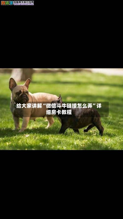 给大家讲解“微信斗牛链接怎么弄	”详细房卡教程-第2张图片