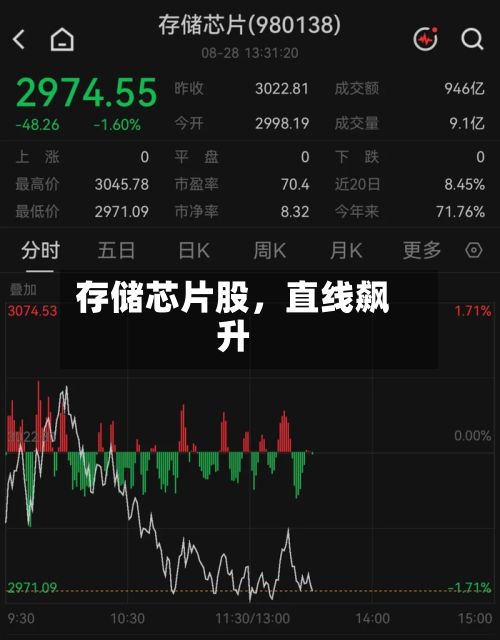存储芯片股,直线飙升