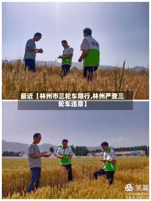 最近【林州市三轮车限行,林州严查三轮车违章】-第3张图片