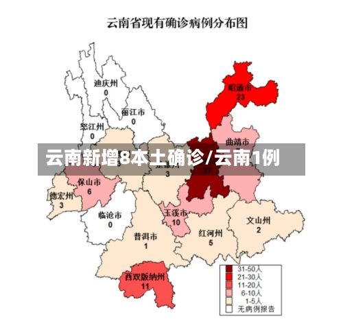 云南新增8本土确诊/云南1例