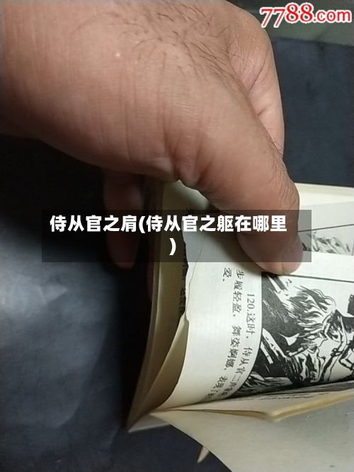侍从官之肩(侍从官之躯在哪里)-第2张图片