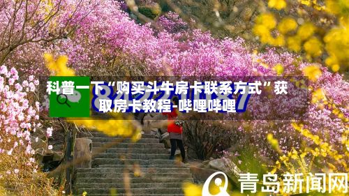 科普一下“购买斗牛房卡联系方式”获取房卡教程-哔哩哔哩-第2张图片