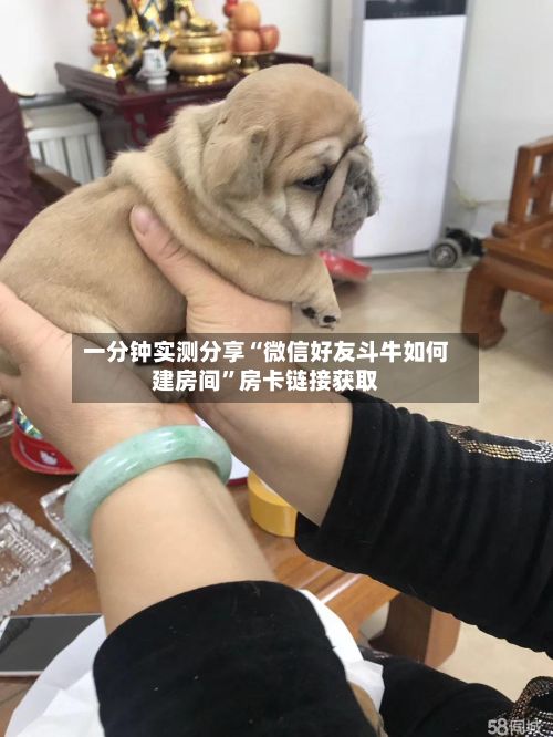 一分钟实测分享“微信好友斗牛如何建房间”房卡链接获取-第2张图片