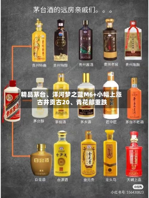 精品茅台、洋河梦之蓝M6+小幅上涨 古井贡古20、青花郎重跌-第2张图片
