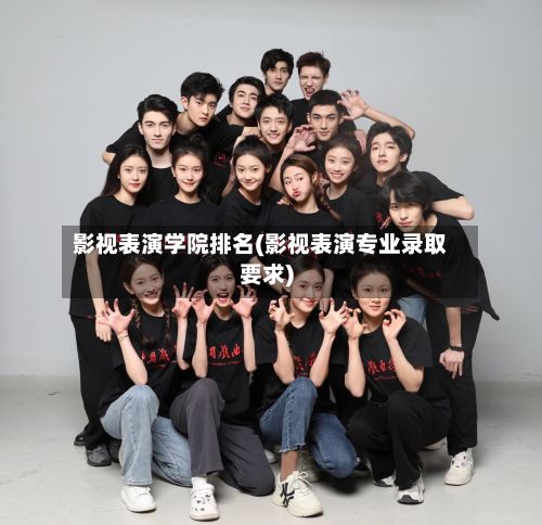 影视表演学院排名(影视表演专业录取要求)-第3张图片