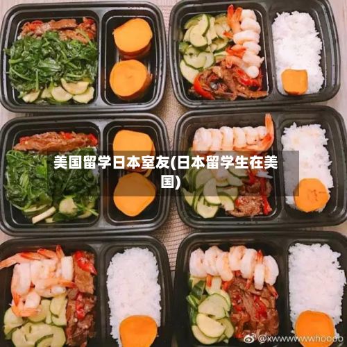 美国留学日本室友(日本留学生在美国)-第2张图片