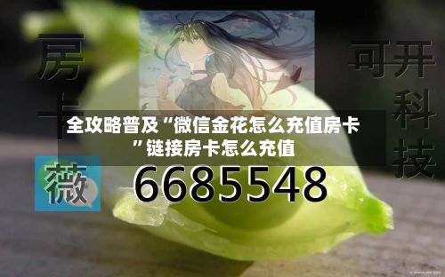 全攻略普及“微信金花怎么充值房卡”链接房卡怎么充值-第2张图片