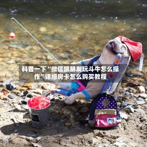 科普一下“微信跟朋友玩斗牛怎么操作”详细房卡怎么购买教程-第2张图片
