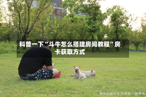 科普一下“斗牛怎么搭建房间教程”房卡获取方式-第2张图片