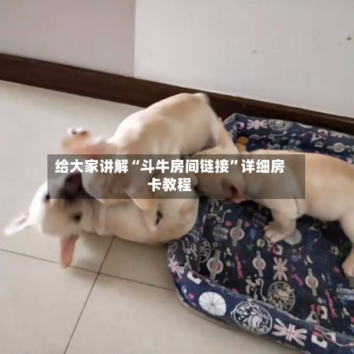 给大家讲解“斗牛房间链接”详细房卡教程-第2张图片