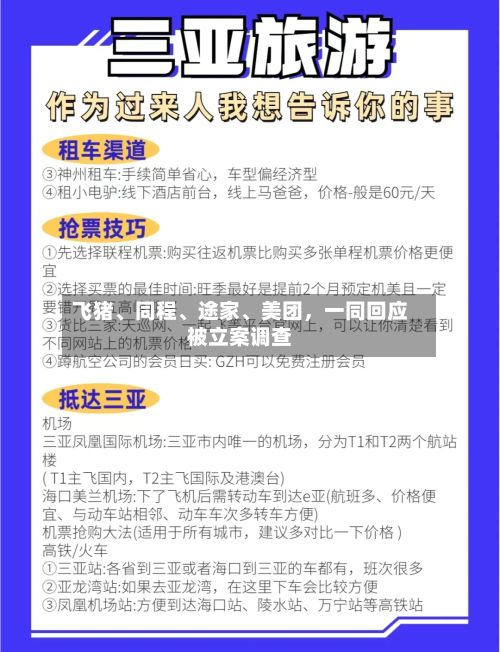 飞猪、同程、途家、美团,一同回应被立案调查