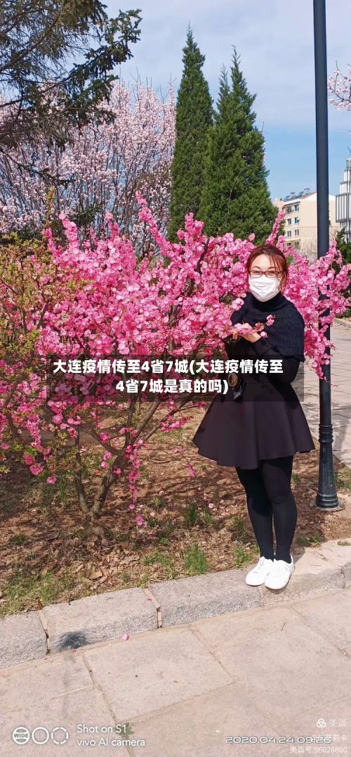 大连疫情传至4省7城(大连疫情传至4省7城是真的吗)-第3张图片
