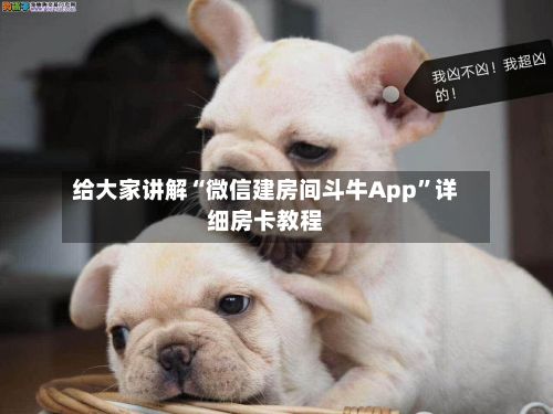 给大家讲解“微信建房间斗牛App”详细房卡教程