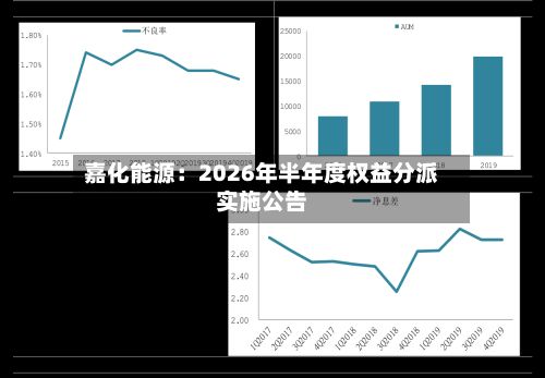嘉化能源:2026年半年度权益分派实施公告-第2张图片