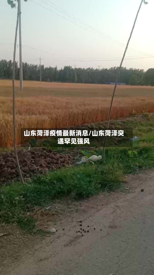 山东菏泽疫情最新消息/山东菏泽突遇罕见强风-第3张图片