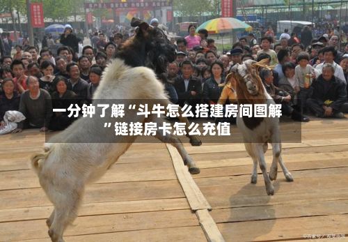 一分钟了解“斗牛怎么搭建房间图解”链接房卡怎么充值
