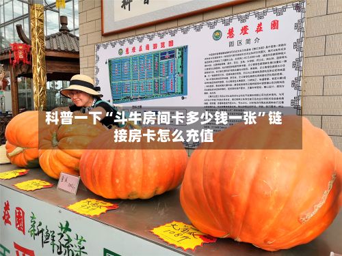 科普一下“斗牛房间卡多少钱一张	”链接房卡怎么充值-第2张图片
